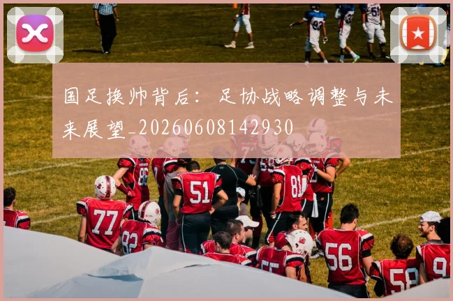 国足换帅背后：足协战略调整与未来展望_20260608142930